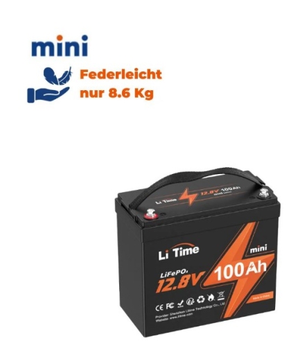 Акумулатор LiFePO4 12 V 100 Ah Мини